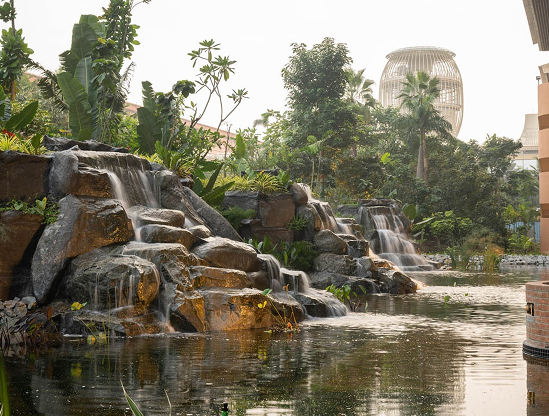 Bengaluru Airport Forest Belt (T2)