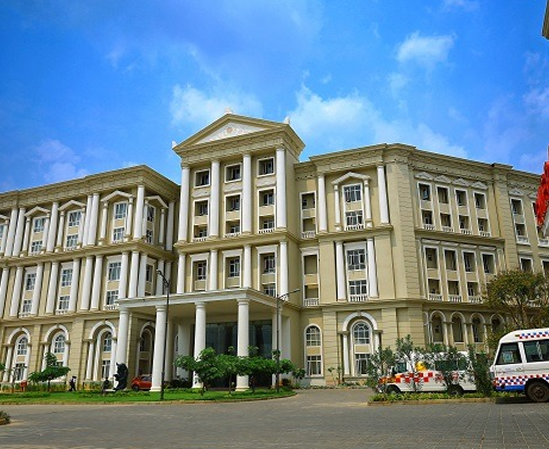 Dayananda Sagar University