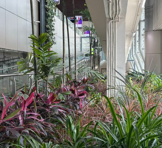 Lucknow Airport Terminal 3