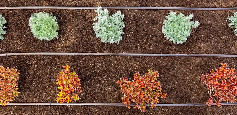 Hunter Dripline, pressure-compensating, 2.1 l/hr, 30 cm spacing, 400 m - Image 1