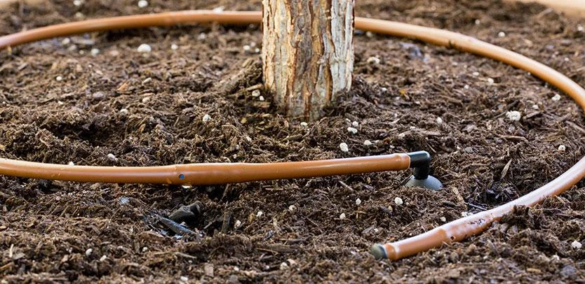 MLD Dripline, ¼" x 30 m at 30 cm spacing, brown - Image 1